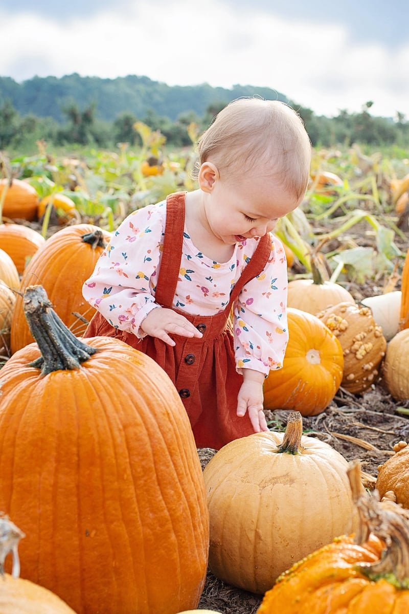 Fall Harvest
